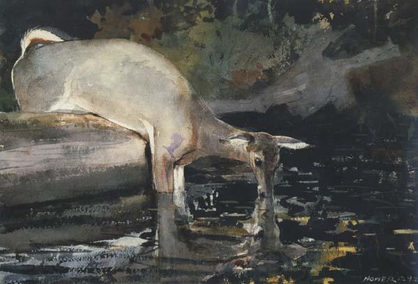 Winslow Homer Deer Drinking (mk44) France oil painting art